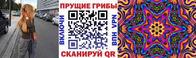 Галлюциногенные грибы MAGIC MUSHROOMS что такое наркотик Клин